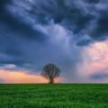 La filosofia della storia: l’illusione dell’eterno presente